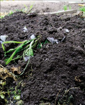 Making compost